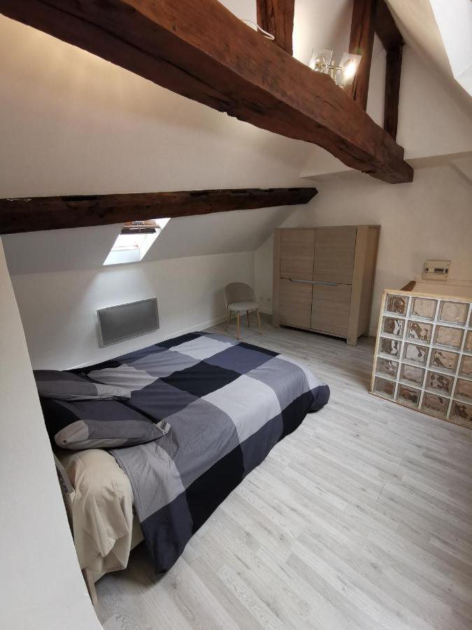 Appartement Hyper Centre Au Bord De Loire 奥尔良 外观 照片